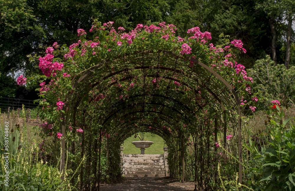 Landscaped traditional English garden with summer flowers Landscaped traditional English garden with summer flowers