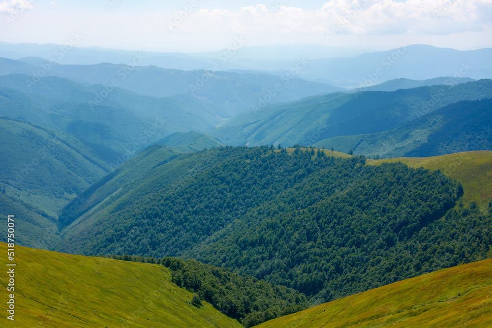 summer landscape in mountains. view in to the distant green valley. grassy meadows and forested hills. sunny weather