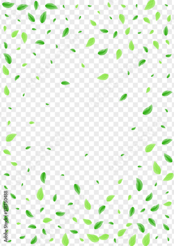 Greenish Leaves Background Transparent Vector. Plant Clear Texture. Template Illustration. Green Eco Card. Foliage Pure.