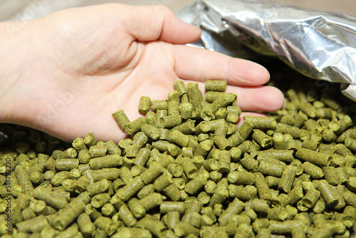 Granulated hops in the hands of a man. Substrate for the production of beer. Lots of hops in the packaging. photo