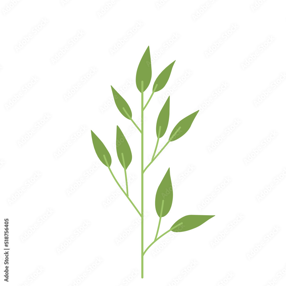 Fototapeta premium Plant