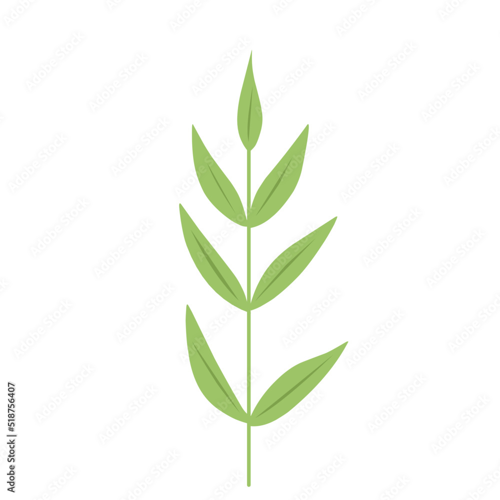 Fototapeta premium Plant