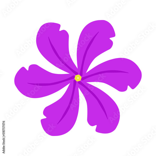 Purple flowers