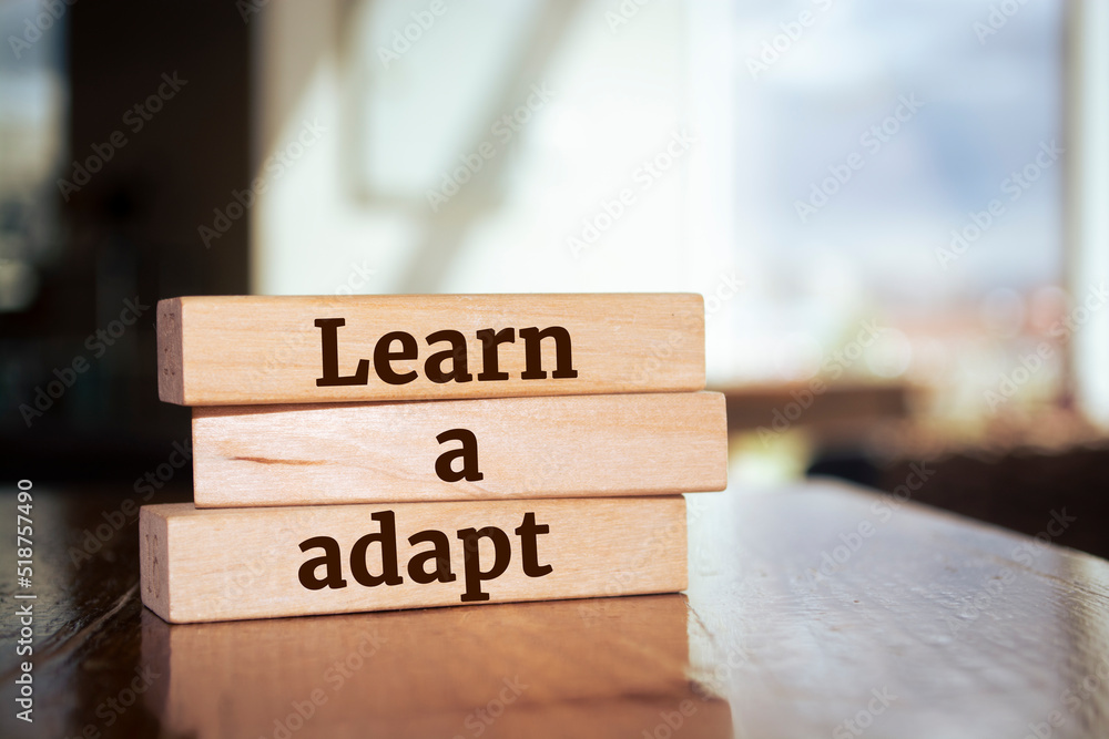 custom made wallpaper toronto digitalWooden blocks with words 'Learn to Adapt'.