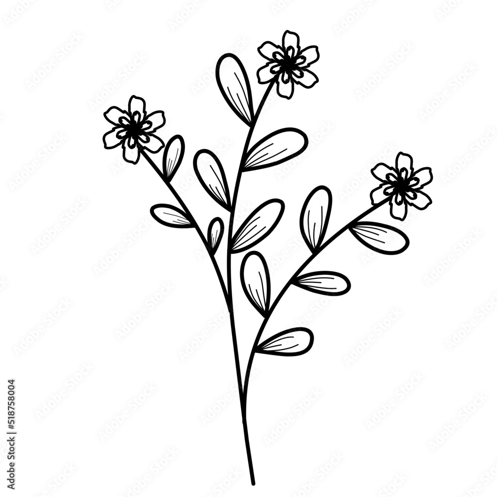 Flowers Lineart Flowers Lineart