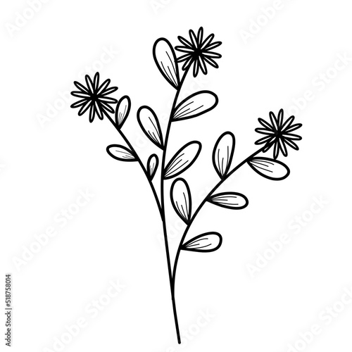 Wallpaper Mural Flowers Lineart Torontodigital.ca