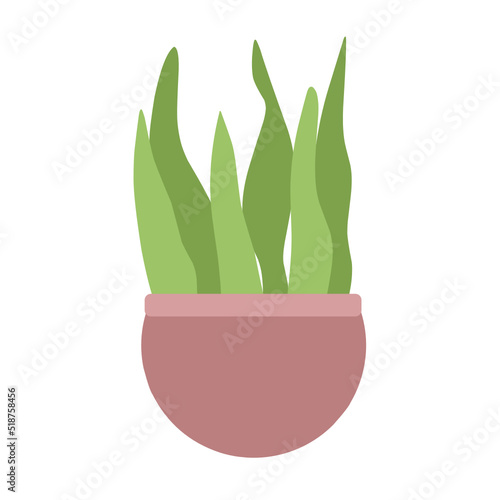 Houseplants