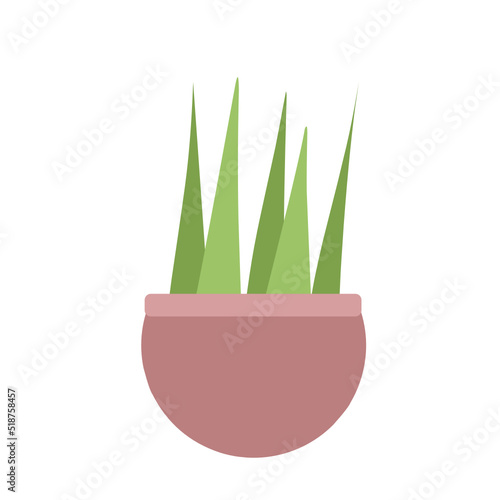 Houseplants