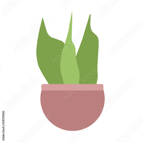Houseplants