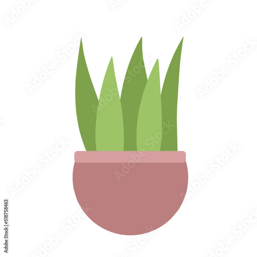 Houseplants