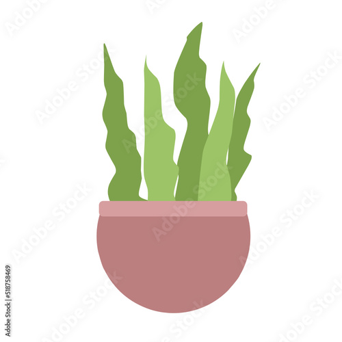 Houseplants