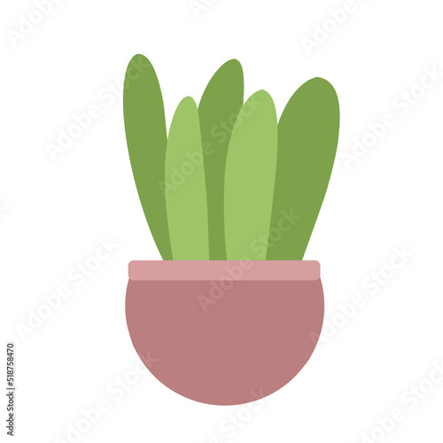 Houseplants