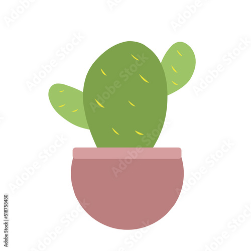 Houseplants