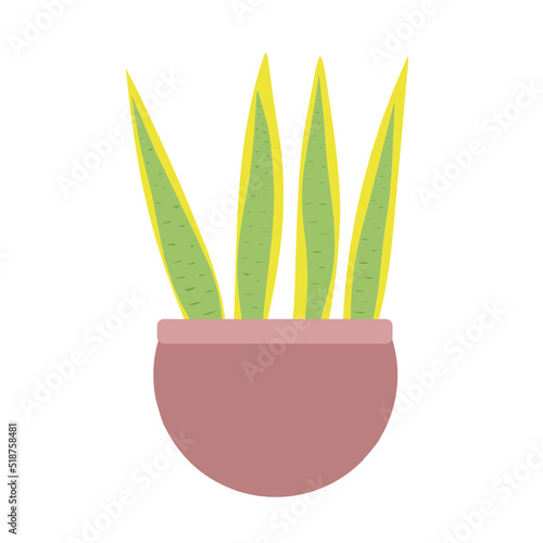 Houseplants