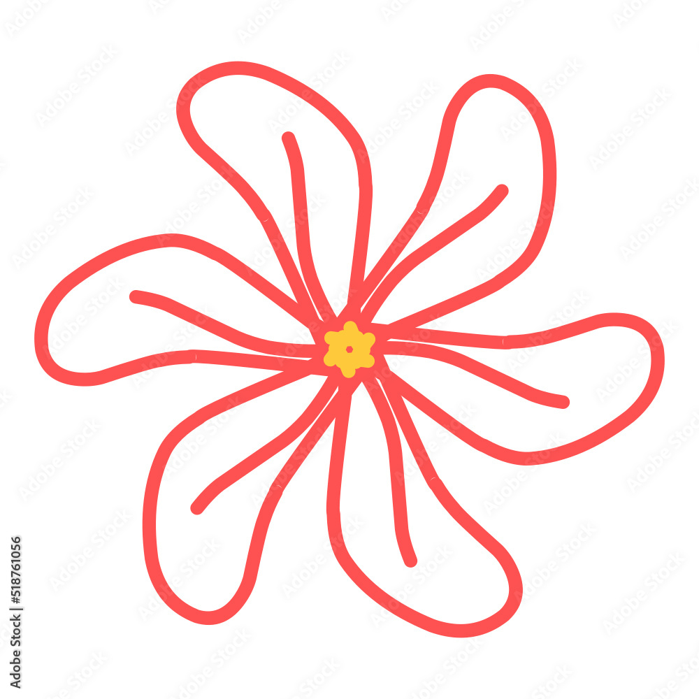 Fototapeta premium Flowers lineart