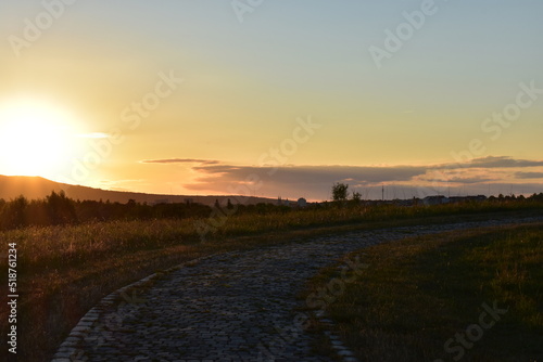 Sonnenuntergang-Pflanzen-B  ume-See-Wasser