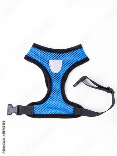 Wall Mural Blue dog harness for small dogs on white background