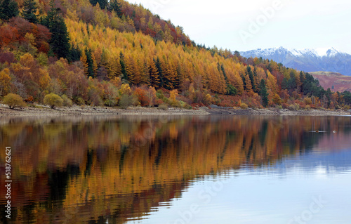 Close up of a lakeside with trees in Autumn colours and reflections, Lake District England 