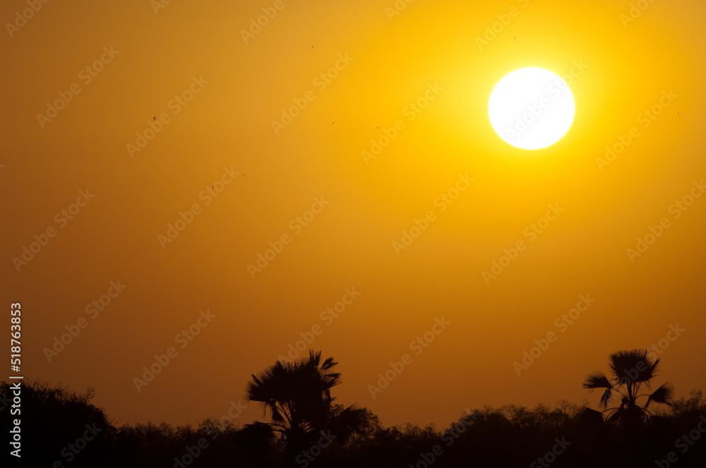 Fototapeta premium Dawn in the Niokolo Koba National Park. Tambacounda. Senegal.