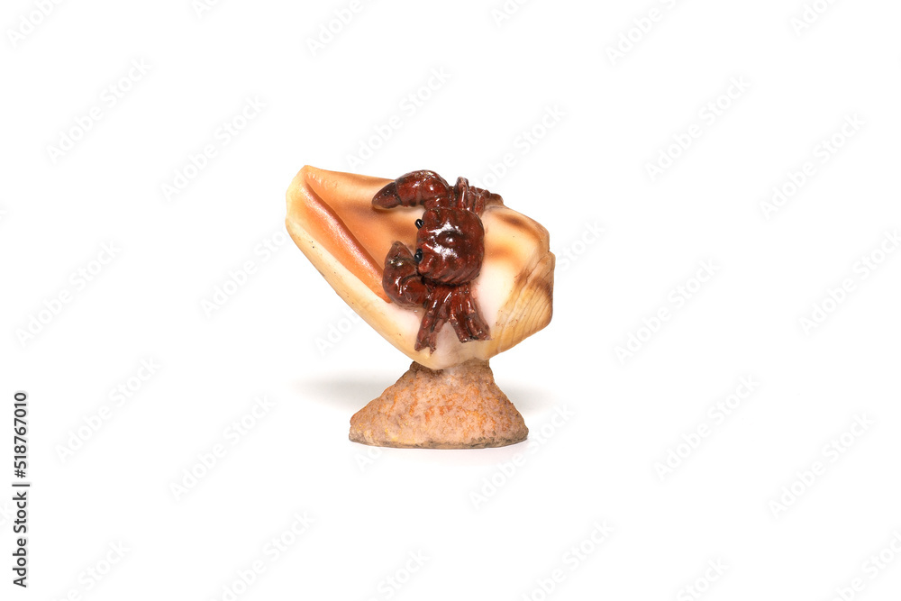 Sea shell souvenir with a crab isolated on white background. Sea shell souvenir with a crab isolated on white background.