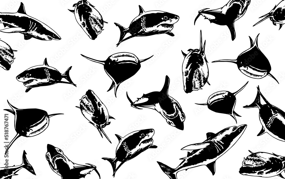 Graphical design with sharks, vector illustration for backgrounds ...