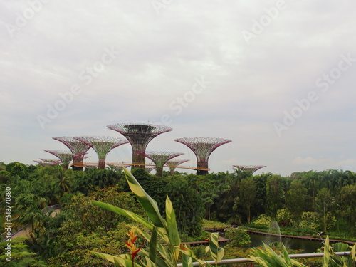 Gardens by the bay ガーデンズバイザベイ シンガポール singapore