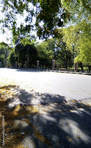 autumn in the park
