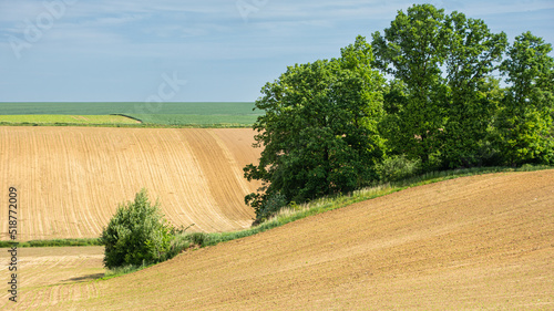 plowed fields in hilly terrain photo