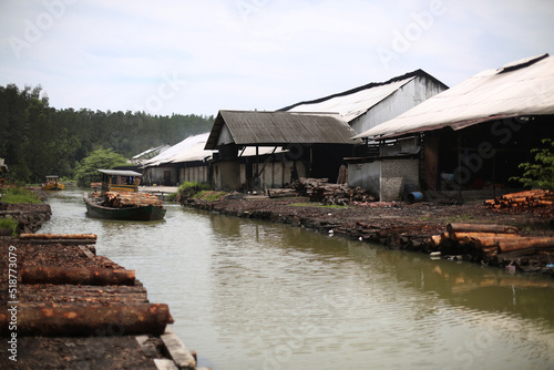 Boat carry fresh cut mangrove treet to charcoal factory photo