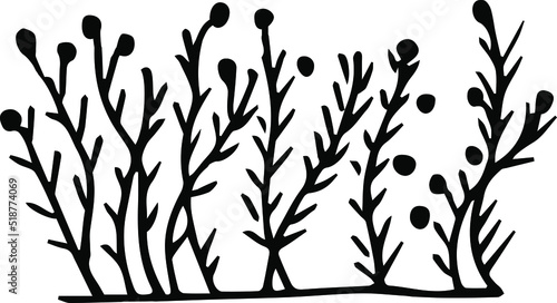 Fototapeta Naklejka Na Ścianę i Meble -  Grass bush  illustration. Hand-drawn doodles illustration.
Line art.
