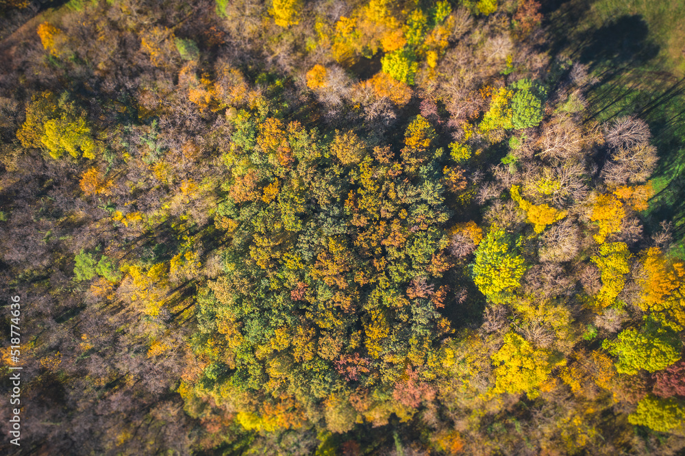 aerial photo of autumn forrest aerial photo of autumn forrest