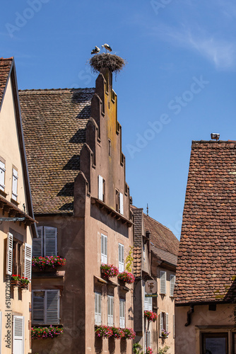 Couple de cigognes dans leur nid en haut d'une maison alsacienne.