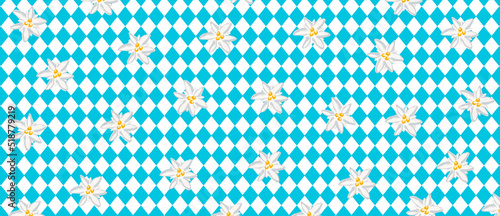 Blau-weisser Oktoberfesthintergrund mit Edelweiß