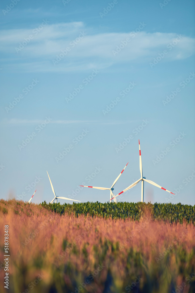 Windmill farm park and turbines for producing green electricity. Windmill farm park and turbines for producing green electricity.