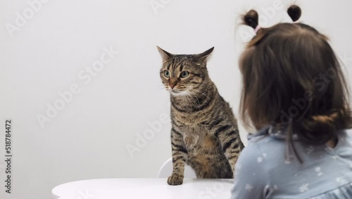Cat and child at home at the table on a white background.