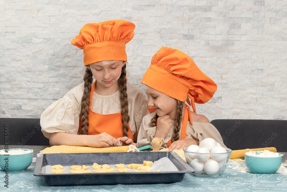 Funny chef coats on sale