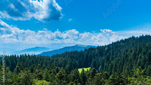 Germany, Panorama view above tree tops, forest and pastures on top of a mountain peak with clouds and sun in allgaeu nature landscape in summer