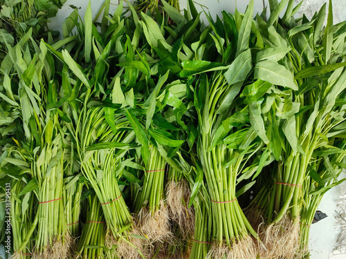 Fresh green kangkong or kangkung photo