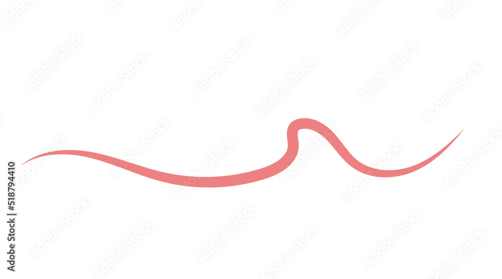 wavy simple line
wavy simple line