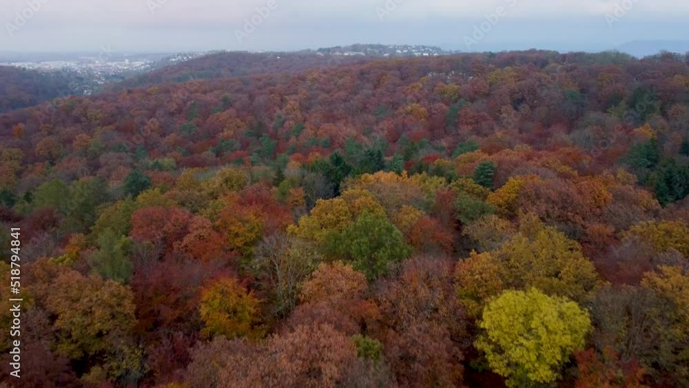autumn forest drone shot over treetops, city (Stuttgart) and sports ground in background autumn forest drone shot over treetops, city (Stuttgart) and sports ground in background