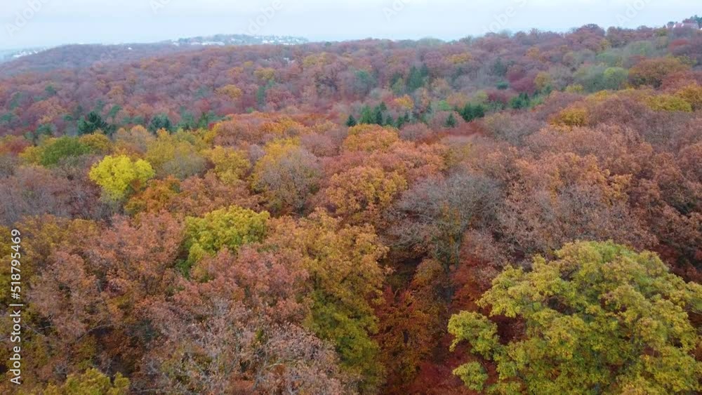 autumn forest drone shot over treetops, aerial video autumn forest drone shot over treetops, aerial video