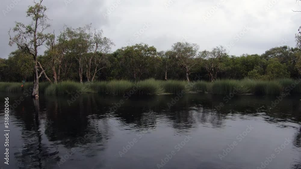 wetlands with various trees represent the integrity of the forest. beautiful scenery of rayong Botanical Garden, Thailand wetlands with various trees represent the integrity of the forest. beautiful scenery of rayong Botanical Garden, Thailand