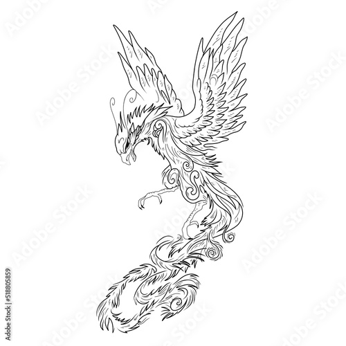 hand drawn illustration of an eagle