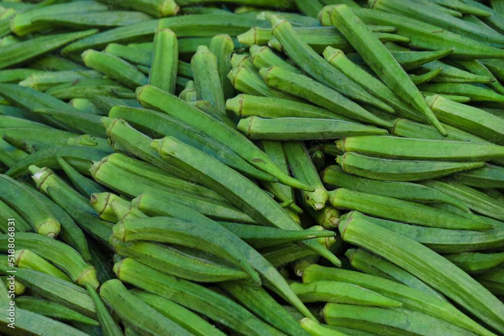 Fresh Okra (Lady Finger) in Indian Local Market, Okra at Farmers Market, selective focus. Fresh Okra (Lady Finger) in Indian Local Market, Okra at Farmers Market, selective focus.