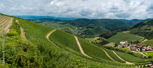 Weinanbau auf Weinbergen im Südwesten Deutschlands © domiiiw