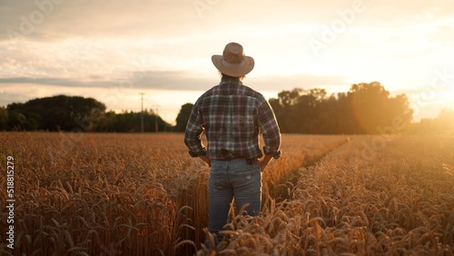 Agriculturalist man standing in yellow wheat field on sunset and looking at the harvest