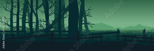 forest landscape with spooky dead tree silhouette vector illustration good for wallpaper, background, backdrop, banner, adventure, travel, tourism and template © FahrizalNurMuhammad
