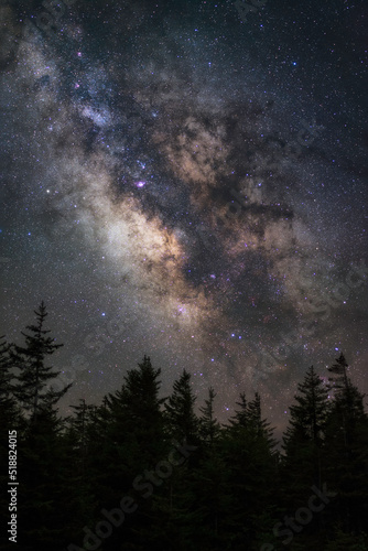 Spruce trees silhouetted against the dark night sky of Spruce Knob in West Virginia with the galactic core of our Milky Way galaxy glowing up above.