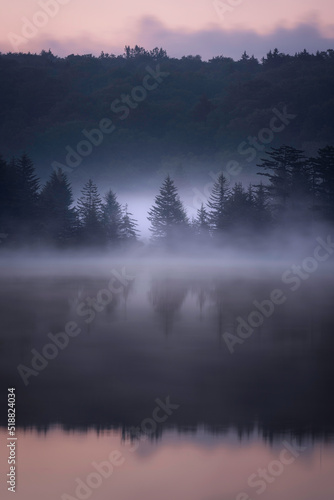 A spruce tree silhoutted against the morning mist rising off of Spruce Knob Lake during a summer sunrise.