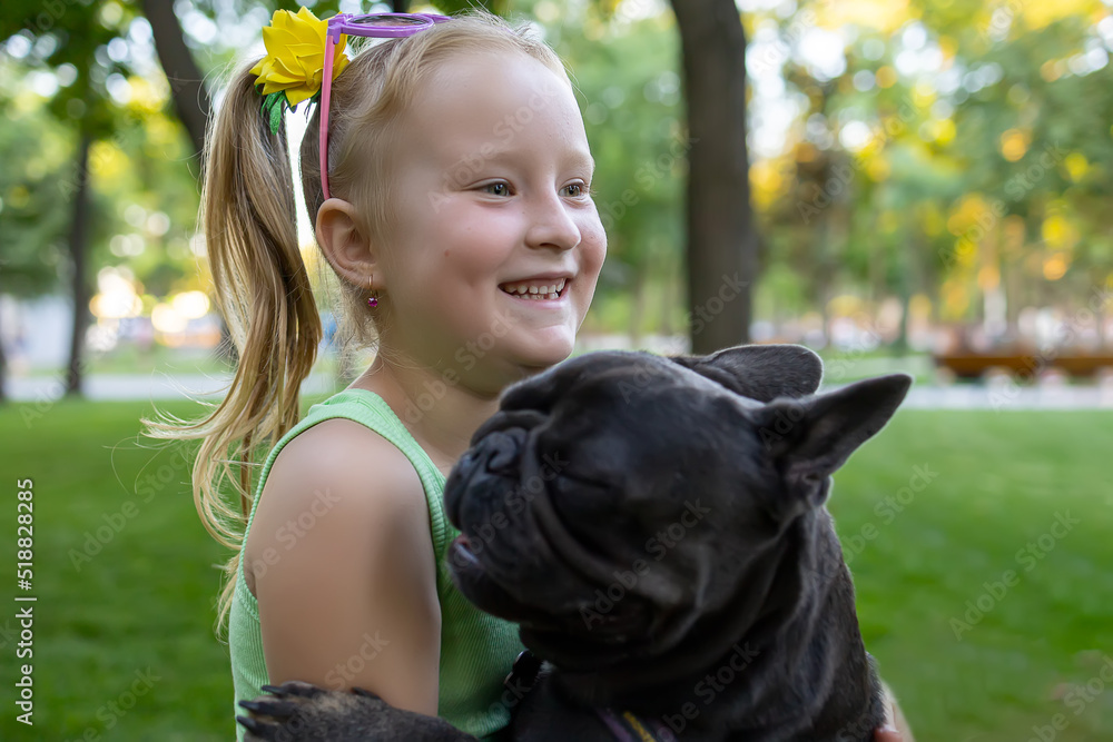 funny dog breed french bulldog in the arms of a little girl funny dog breed french bulldog in the arms of a little girl